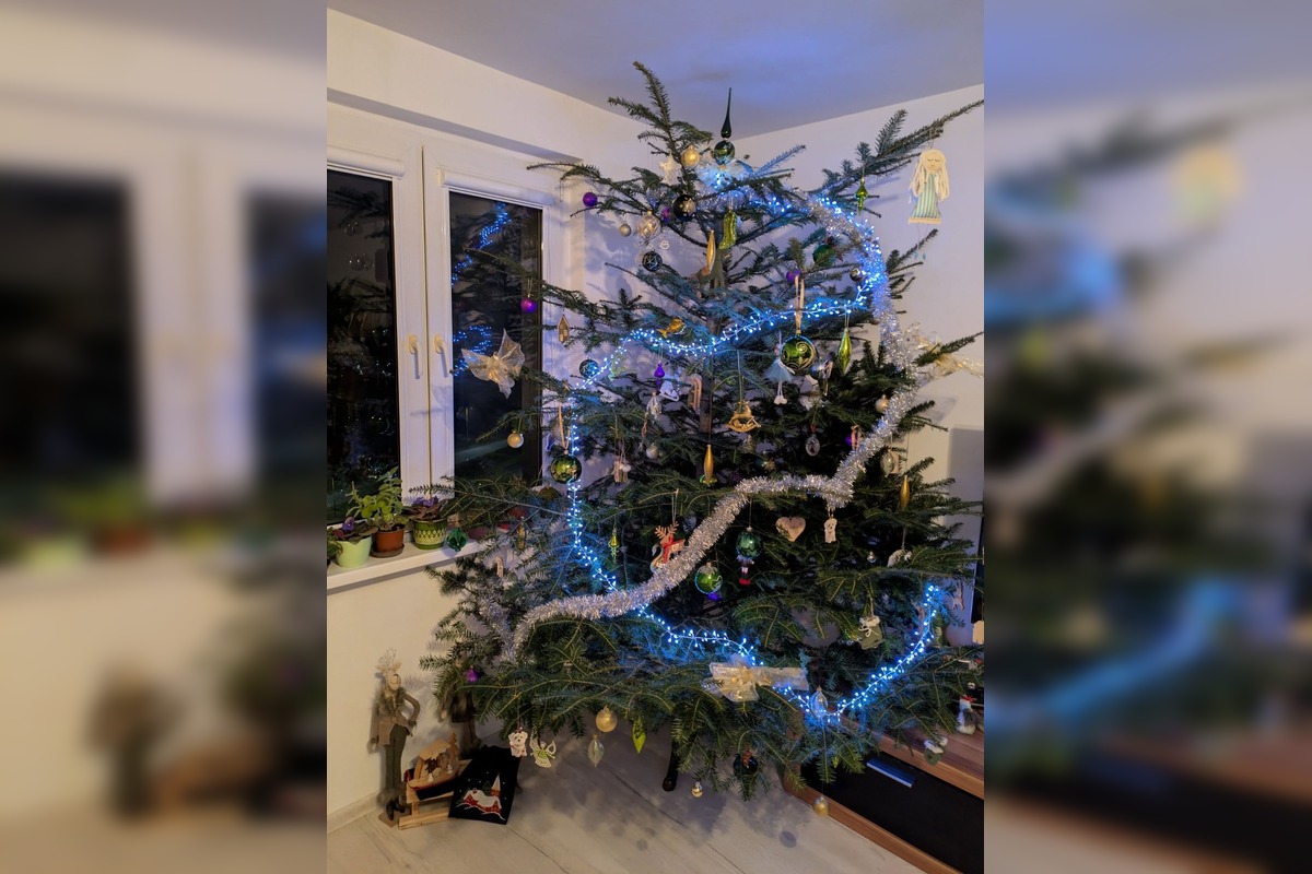 FOTO: Vianočné stromčeky našich čitateľov, foto 13