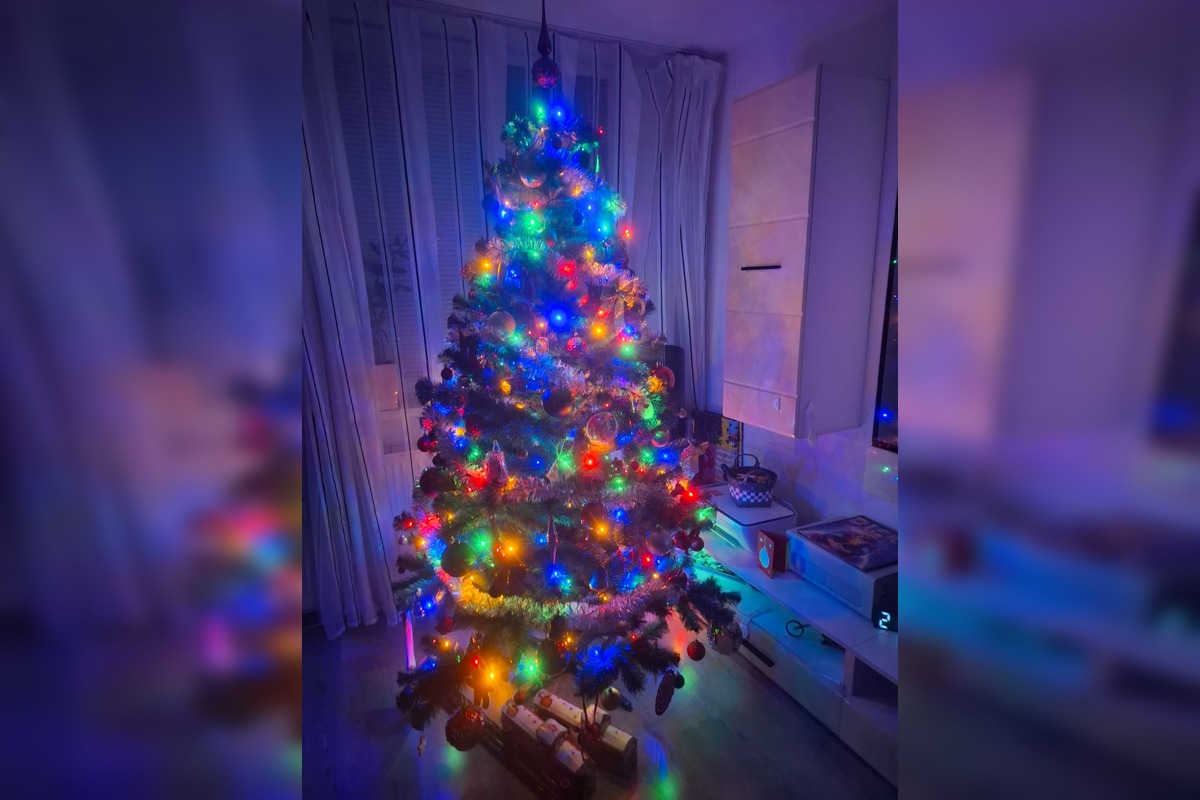 FOTO: Vianočné stromčeky našich čitateľov, foto 14