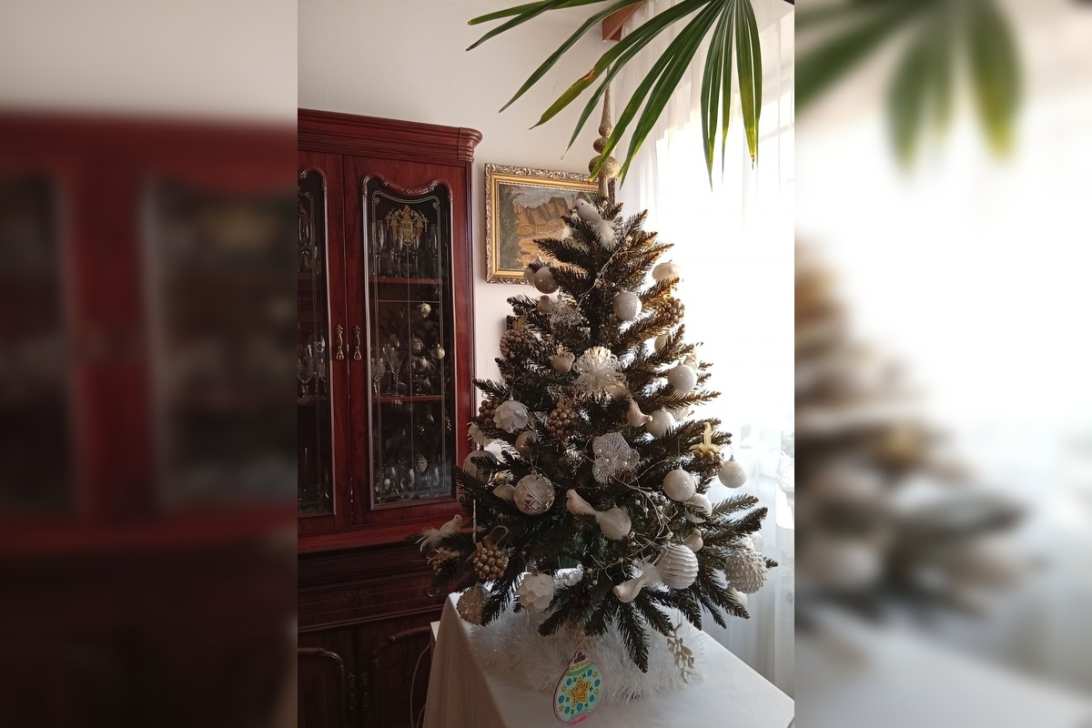 FOTO: Vianočné stromčeky našich čitateľov, foto 15