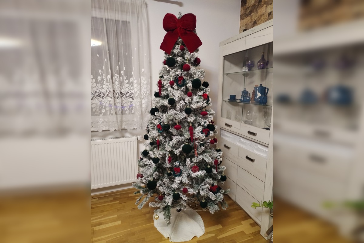 FOTO: Vianočné stromčeky našich čitateľov, foto 16