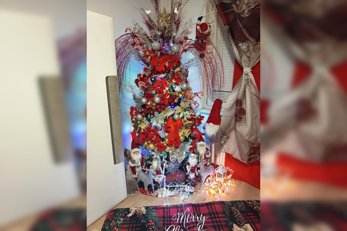 FOTO: Vianočné stromčeky našich čitateľov, foto 17