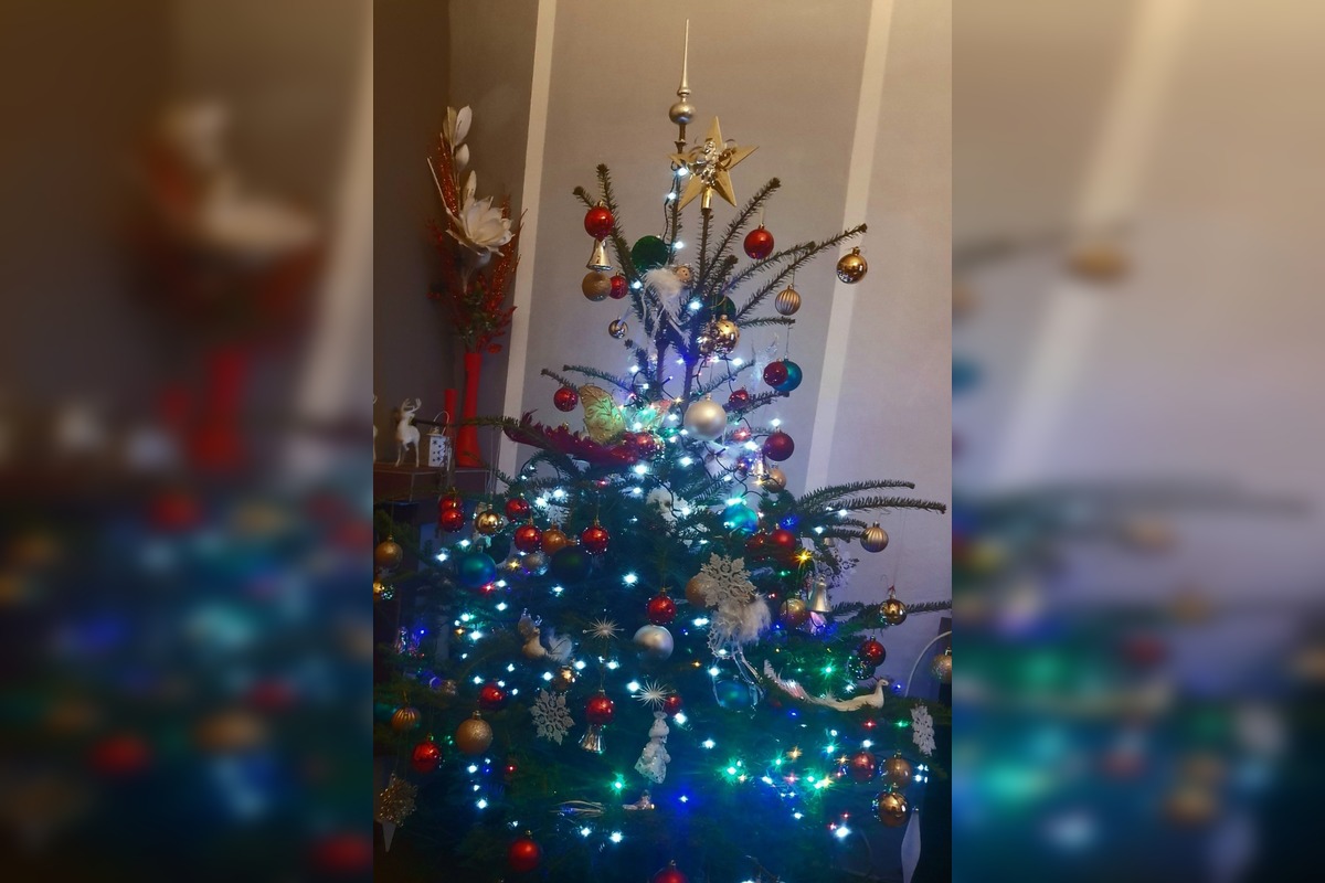 FOTO: Vianočné stromčeky našich čitateľov, foto 19