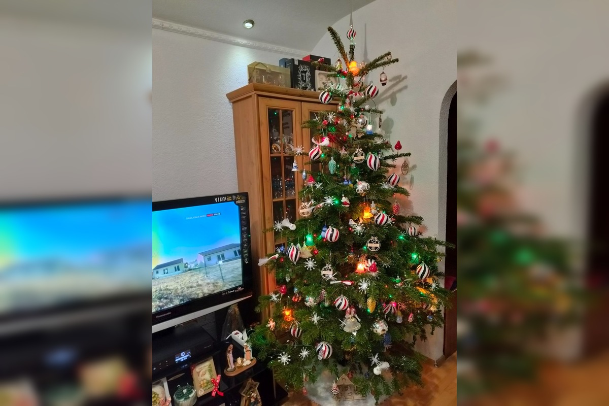 FOTO: Vianočné stromčeky našich čitateľov, foto 20