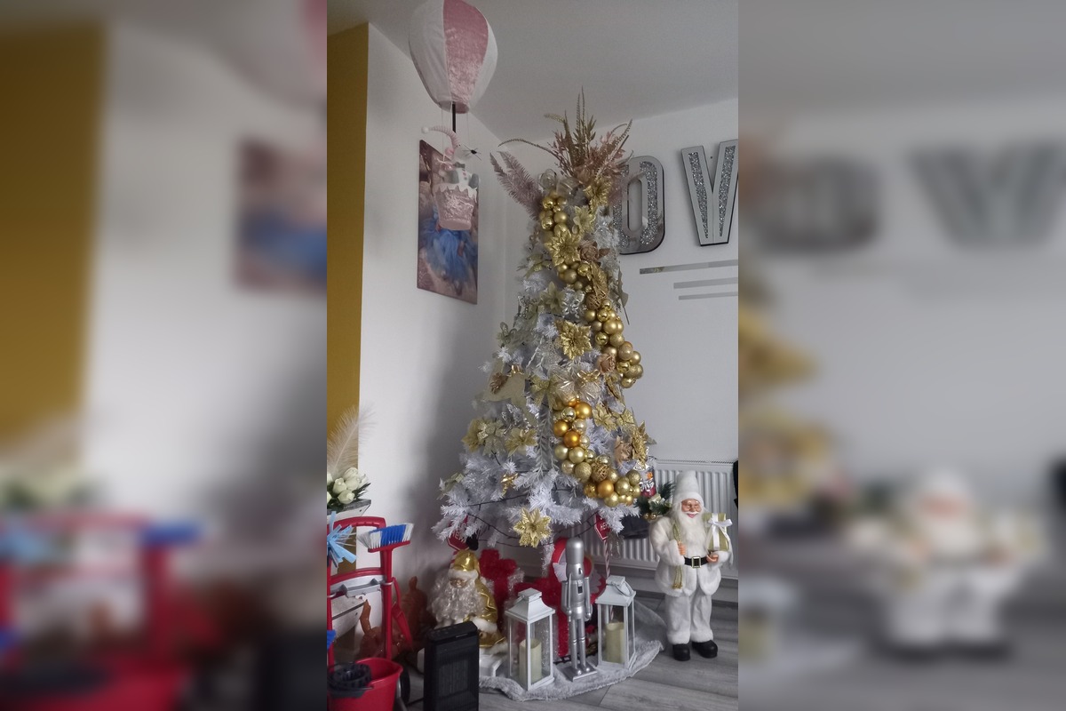 FOTO: Vianočné stromčeky našich čitateľov, foto 21