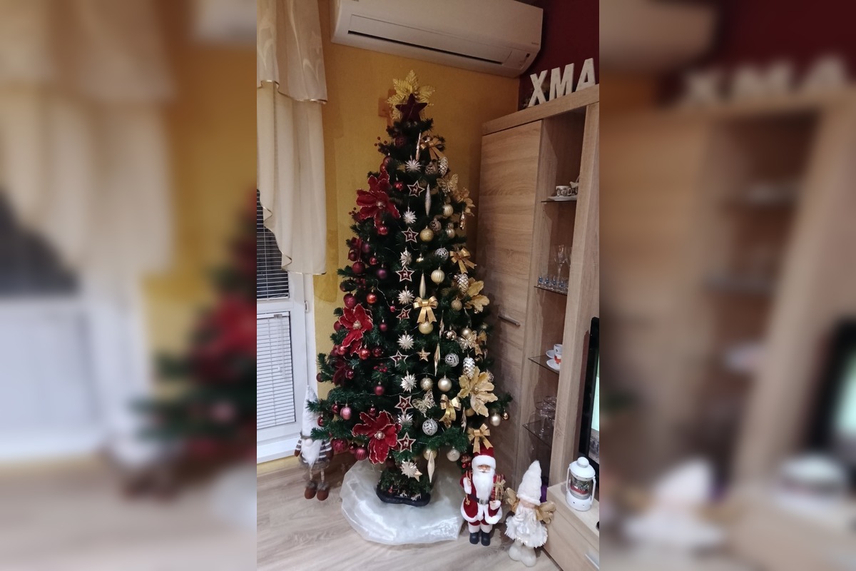 FOTO: Vianočné stromčeky našich čitateľov, foto 22