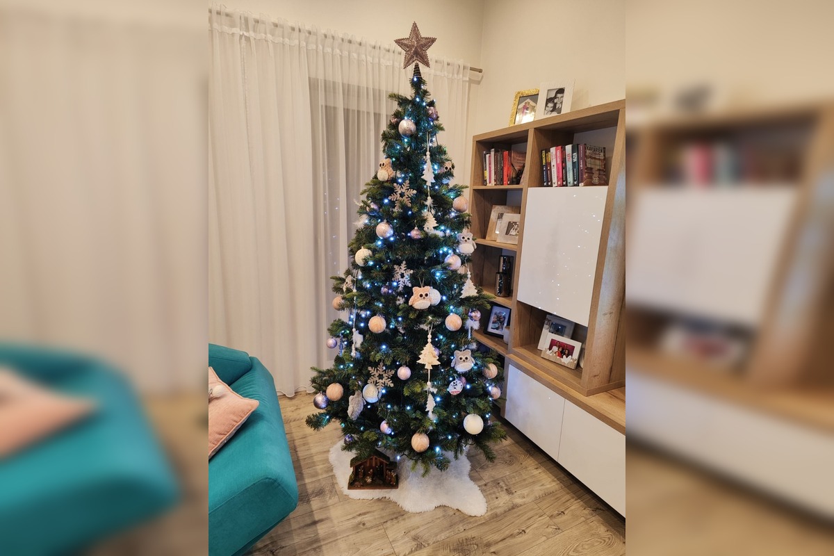 FOTO: Vianočné stromčeky našich čitateľov, foto 23