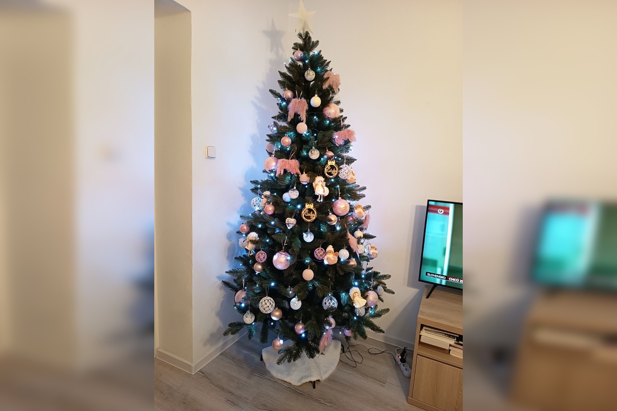 FOTO: Vianočné stromčeky našich čitateľov, foto 25