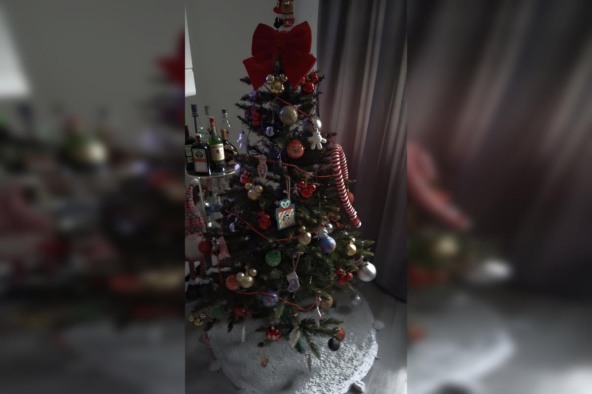 FOTO: Vianočné stromčeky našich čitateľov, foto 26