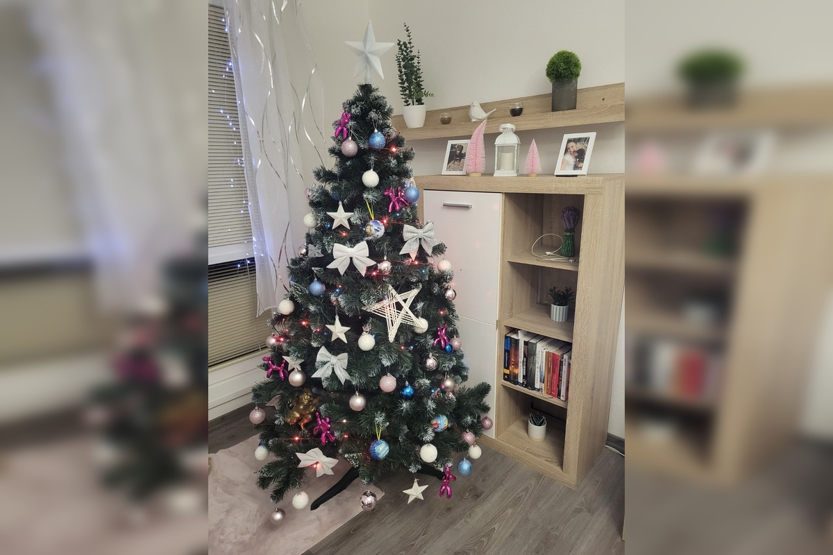 FOTO: Vianočné stromčeky našich čitateľov, foto 27