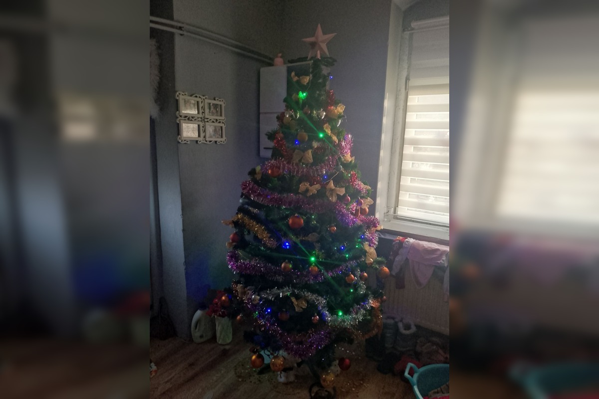 FOTO: Vianočné stromčeky našich čitateľov, foto 28