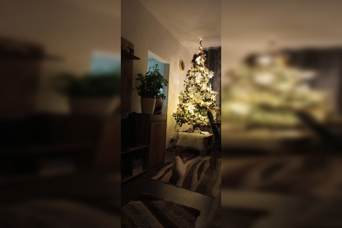 FOTO: Vianočné stromčeky našich čitateľov, foto 29