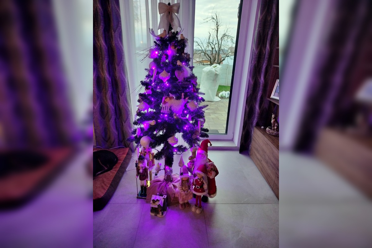 FOTO: Vianočné stromčeky našich čitateľov, foto 30