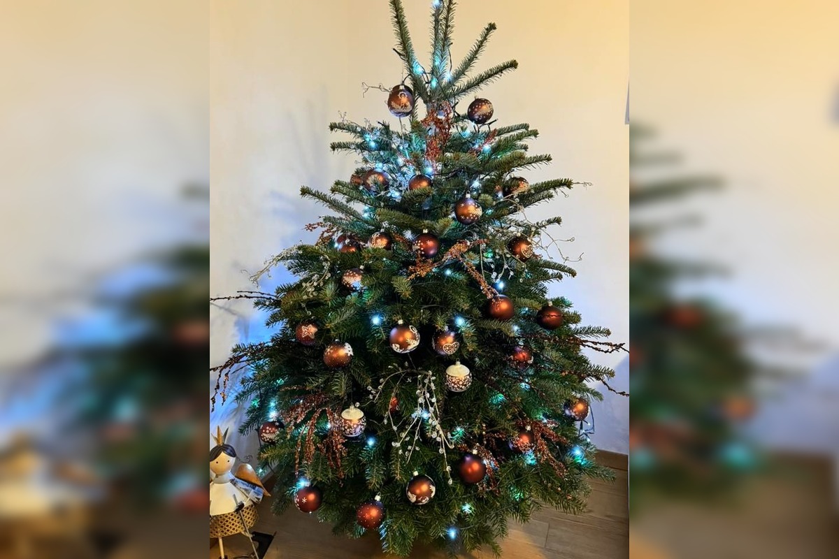 FOTO: Vianočné stromčeky našich čitateľov, foto 31