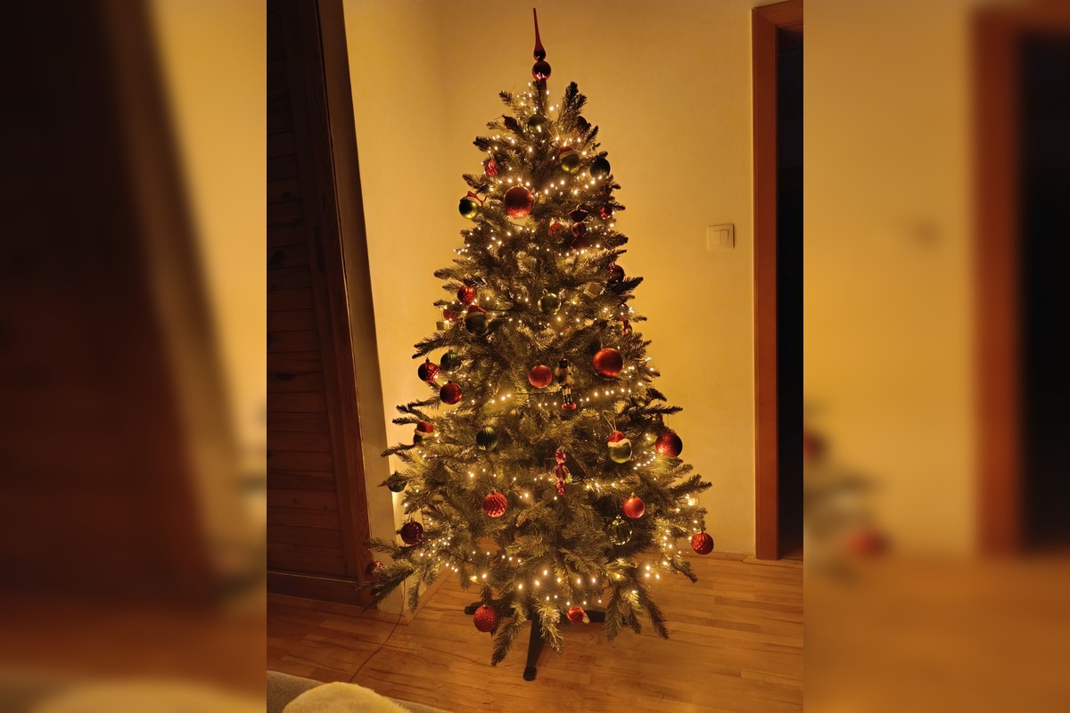 FOTO: Vianočné stromčeky našich čitateľov, foto 32