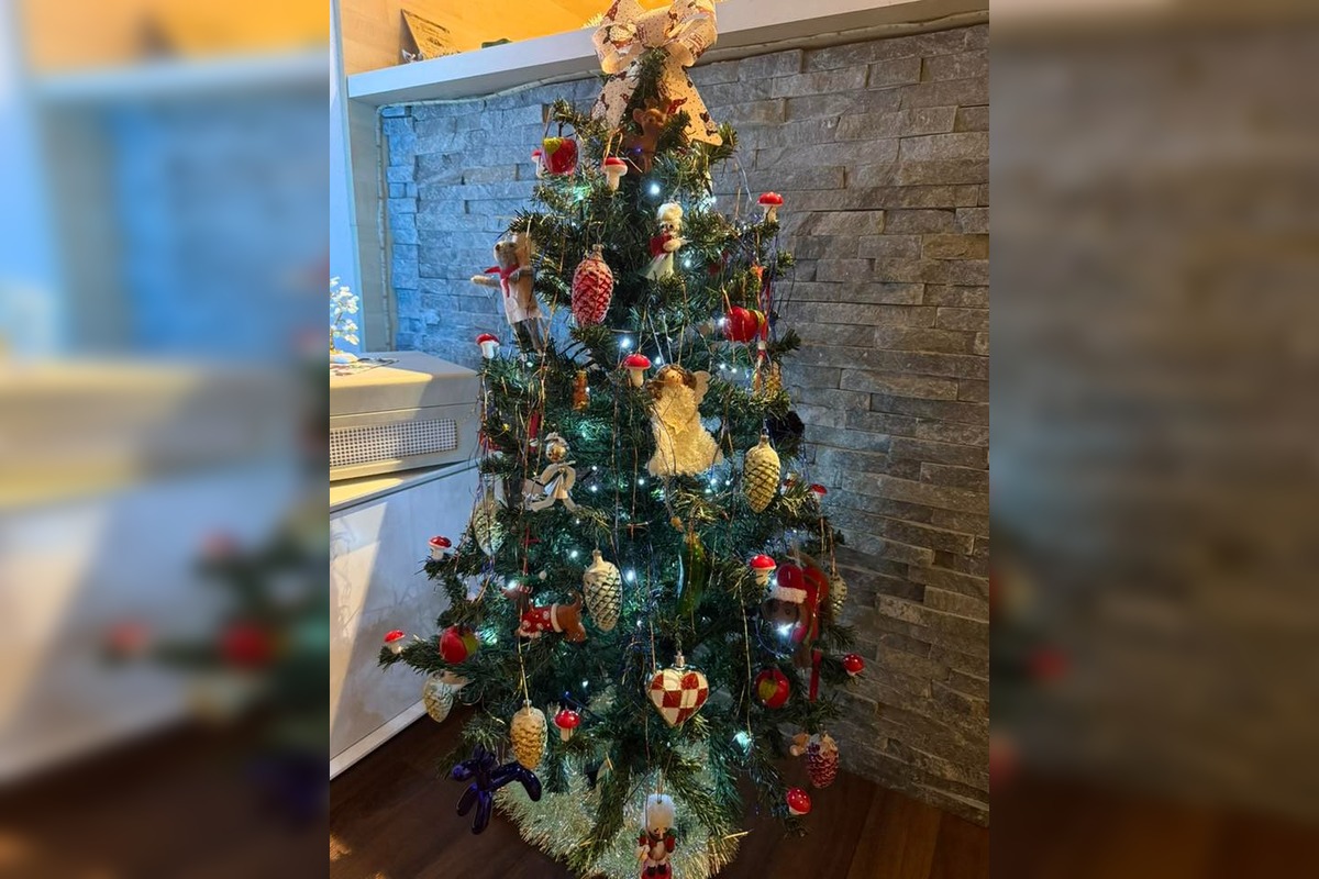 FOTO: Vianočné stromčeky našich čitateľov, foto 33