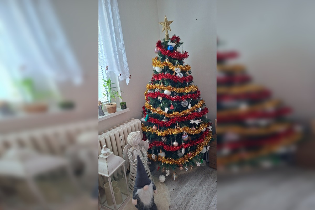 FOTO: Vianočné stromčeky našich čitateľov, foto 34