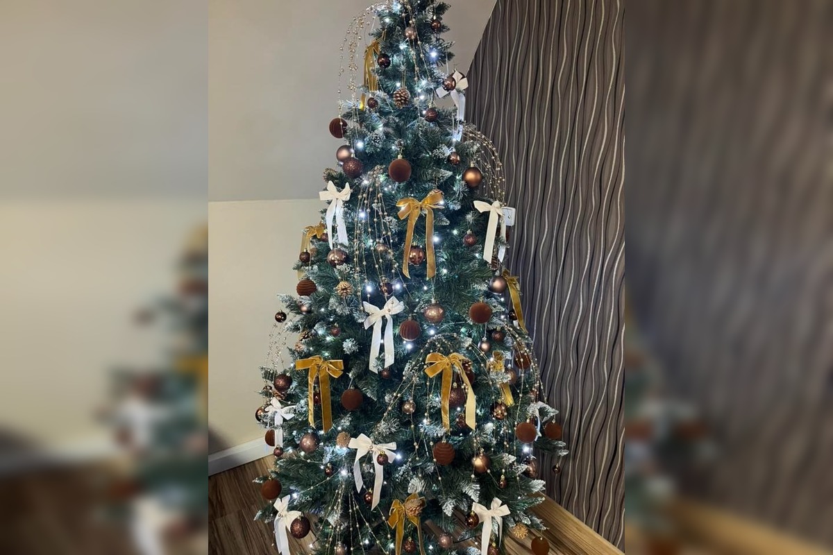 FOTO: Vianočné stromčeky našich čitateľov, foto 35