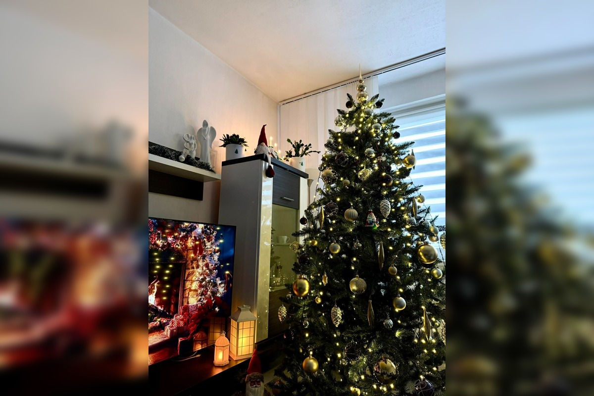 FOTO: Vianočné stromčeky našich čitateľov, foto 36