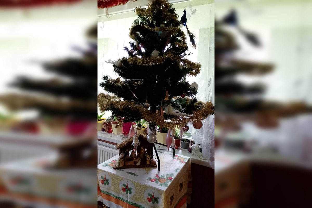 FOTO: Vianočné stromčeky našich čitateľov, foto 37