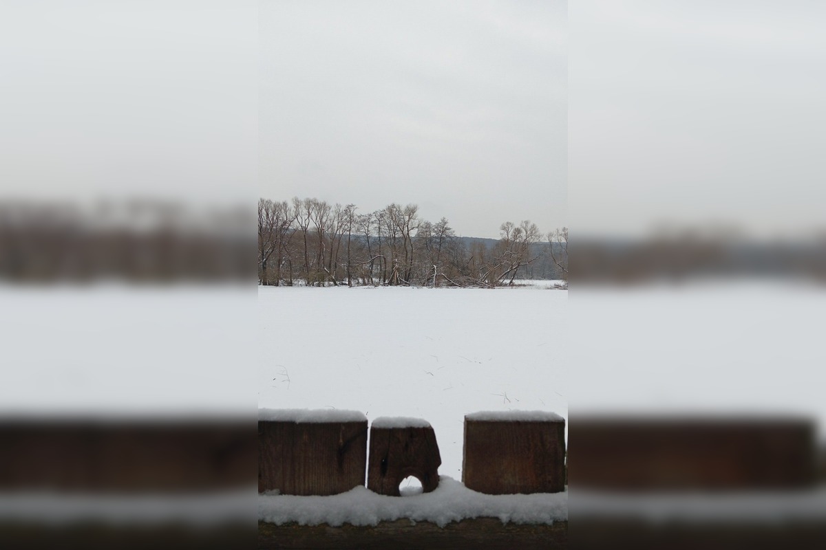 FOTO: Snehová nádielka v Košickom kraji, foto 20