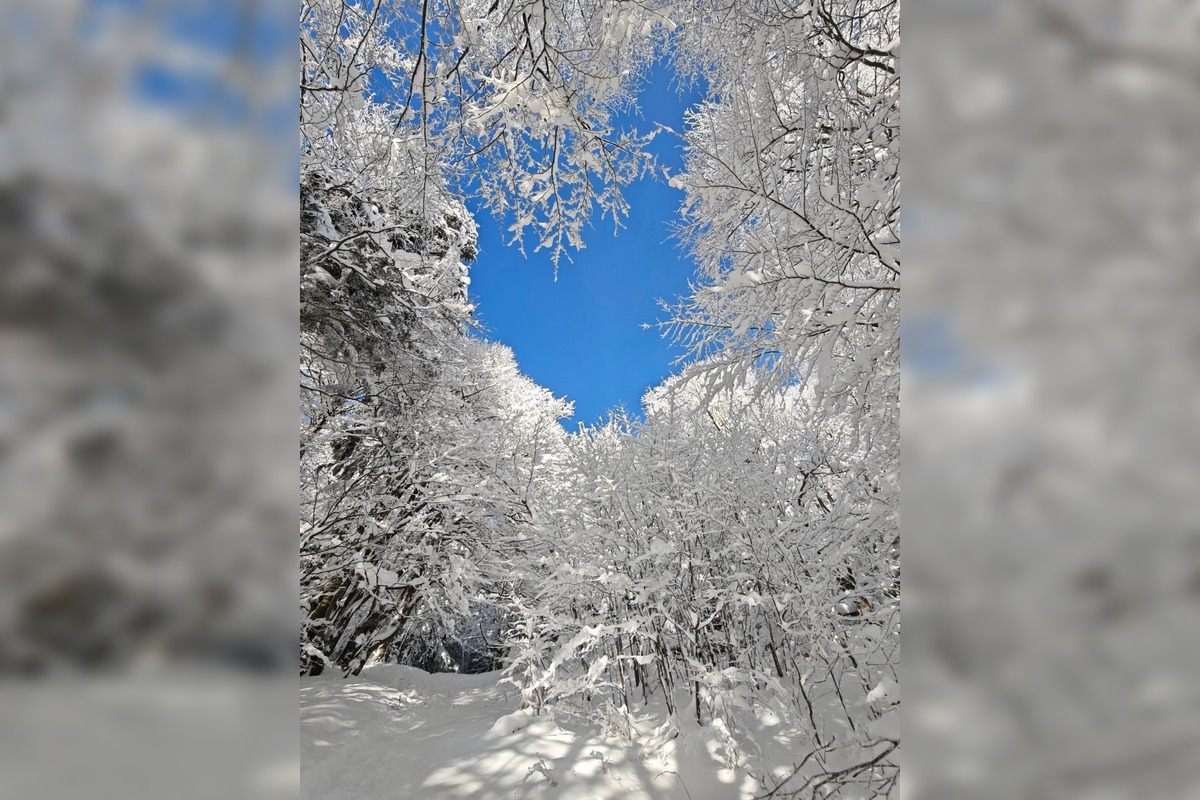 FOTO: Najkrajšie zimné scenérie, aké Slovensko ponúka, foto 18