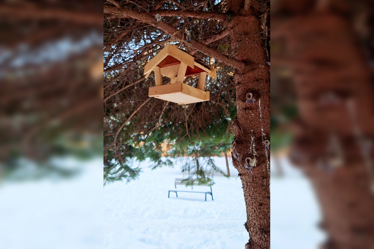 FOTO: Na košickom Sídlisku Ťahanovce pribudli drevené kŕmidlá pre vtáčiky, foto 3