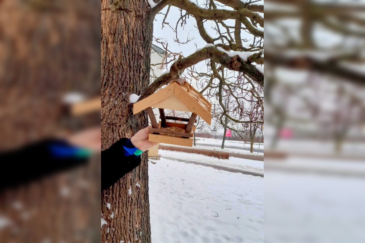 FOTO: Na košickom Sídlisku Ťahanovce pribudli drevené kŕmidlá pre vtáčiky, foto 5