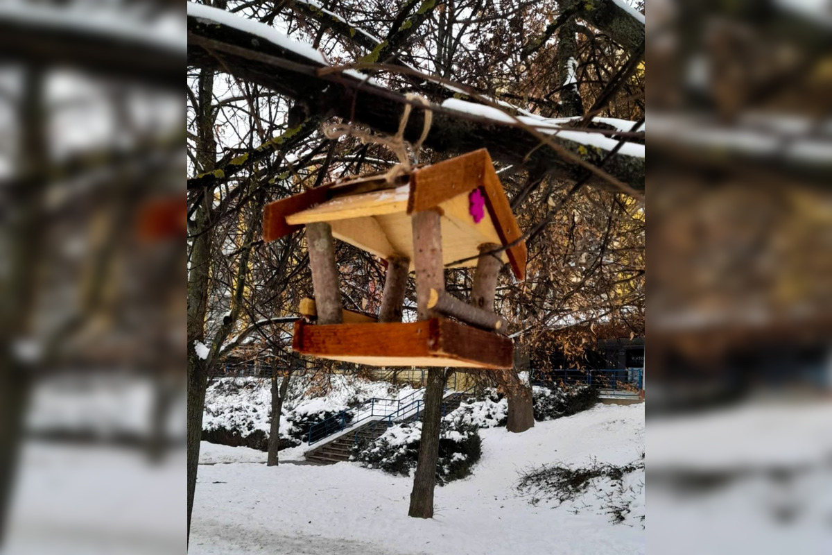 FOTO: Na košickom Sídlisku Ťahanovce pribudli drevené kŕmidlá pre vtáčiky, foto 6