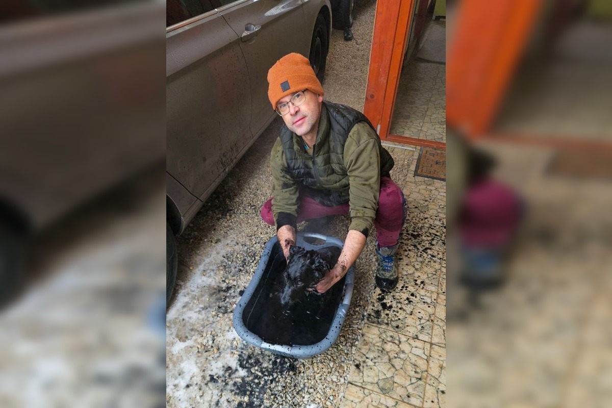 FOTO: Zásah rožňavských hasičov zachránil šteniatko vlčiaka, foto 1