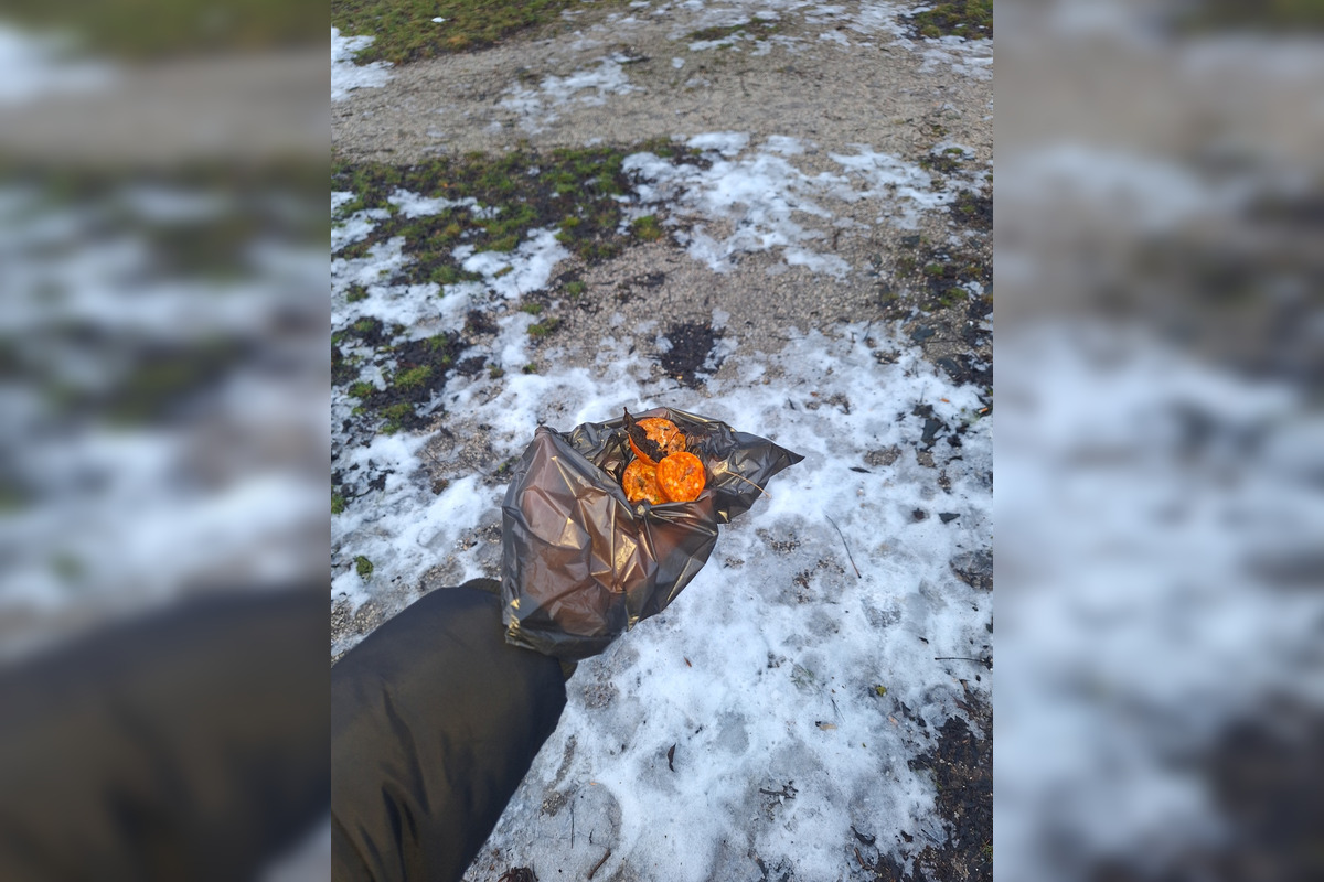 FOTO: Psíčkari na košickom Juhu sú v pozore, dôvodom sú návnady, foto 1