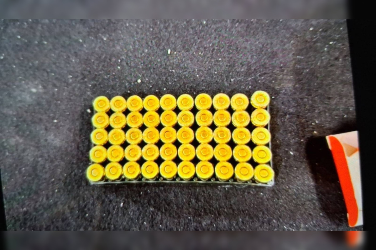 FOTO: Colníci zadržali až dvoch vodičov, tí prevážali cez hranice strelivo, foto 4