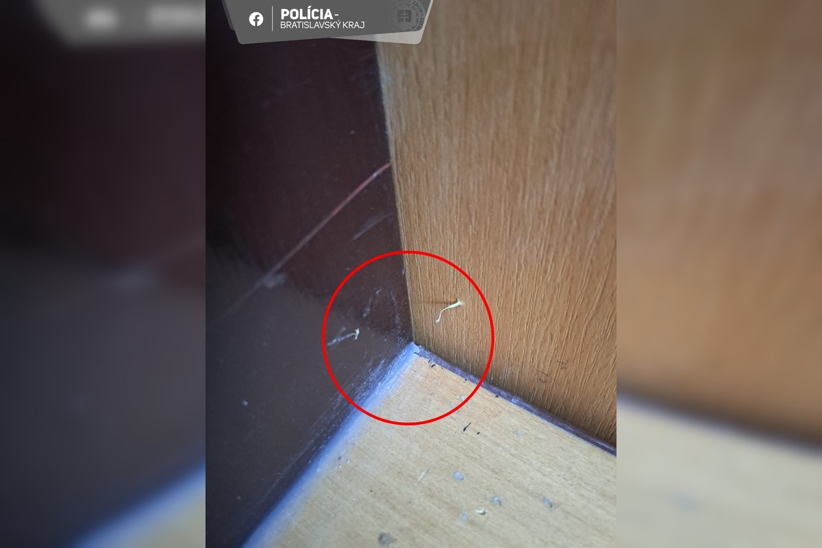 FOTO: Rôzne taktiky zlodejov pri pokuse o vlámanie sa do bytu, foto 2