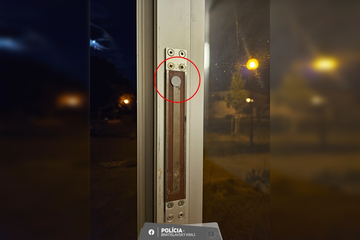 FOTO: Rôzne taktiky zlodejov pri pokuse o vlámanie sa do bytu, foto 5