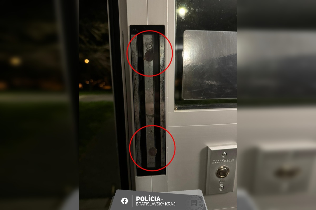 FOTO: Rôzne taktiky zlodejov pri pokuse o vlámanie sa do bytu, foto 6