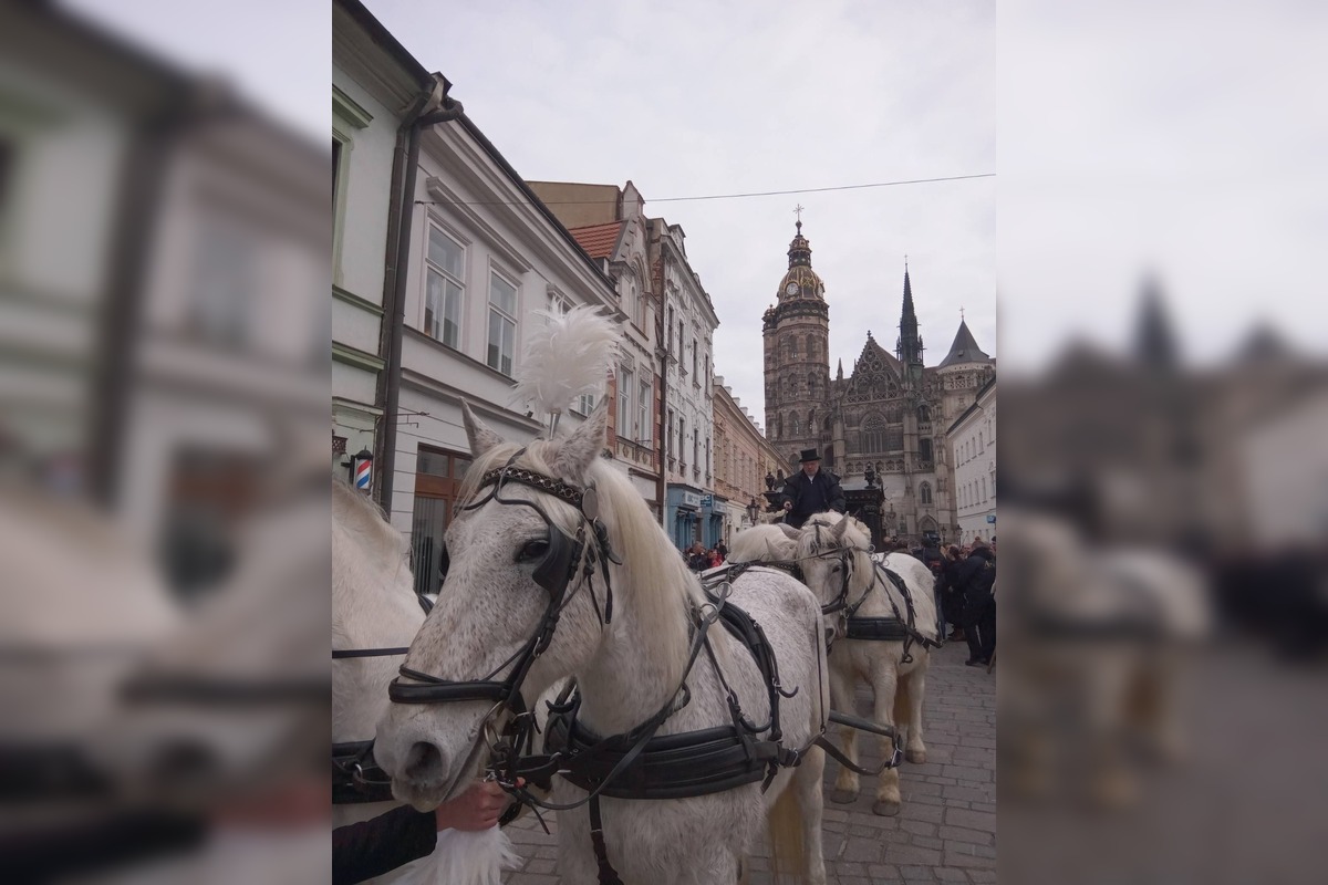 FOTO: Pohreb rómskeho kráľa Róberta Botoša, foto 2