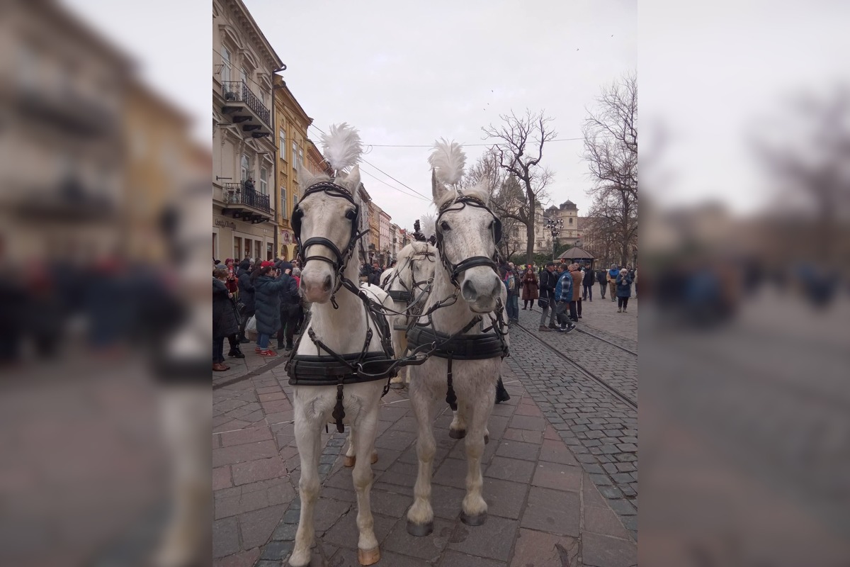 FOTO: Pohreb rómskeho kráľa Róberta Botoša, foto 9