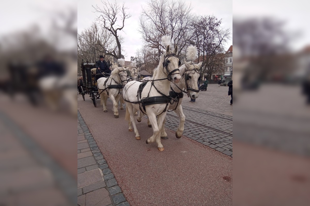 FOTO: Pohreb rómskeho kráľa Róberta Botoša, foto 11