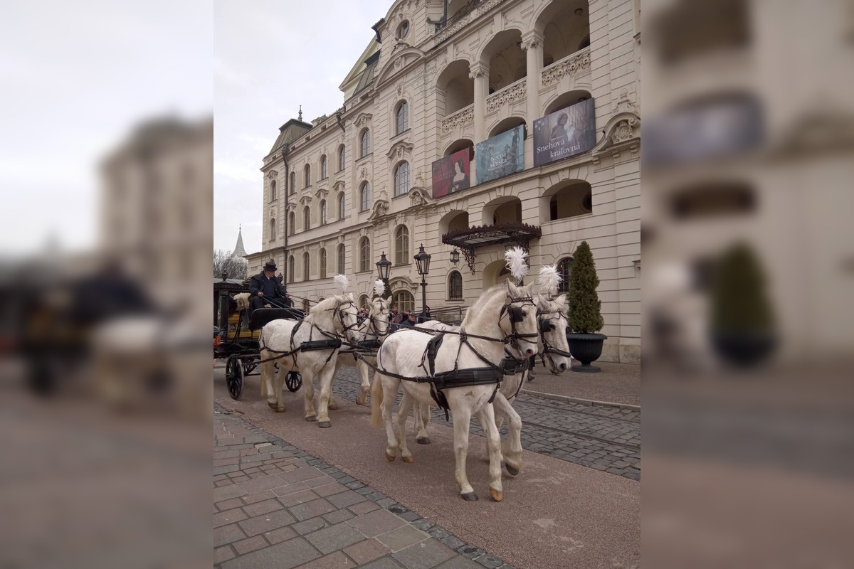FOTO: Pohreb rómskeho kráľa Róberta Botoša, foto 8