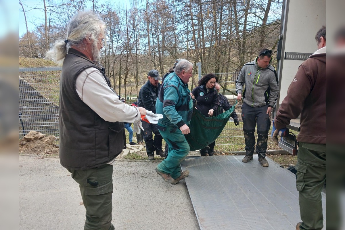 FOTO: Zachránené medvieďatá z košickej ZOO, foto 8