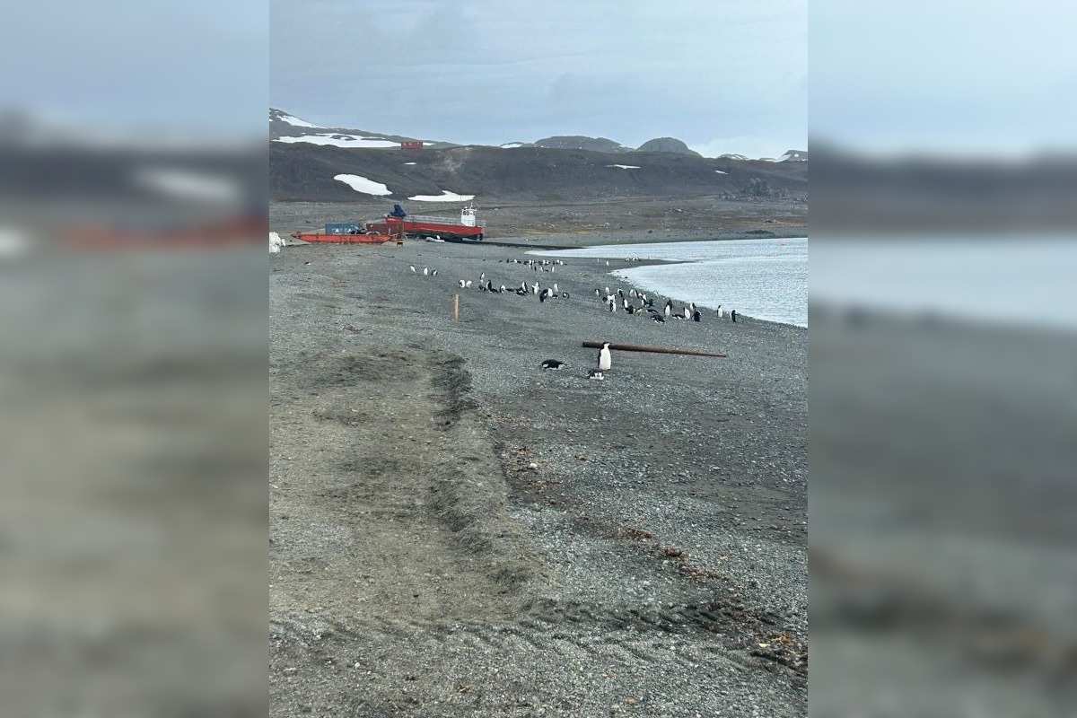 FOTO: Košický vedec na expedícii na Antarktíde, foto 8