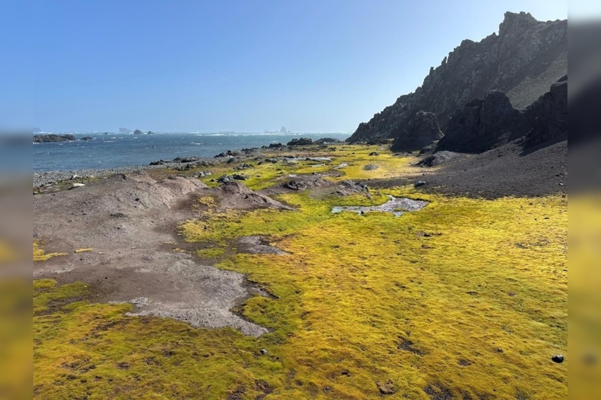 FOTO: Košický vedec na expedícii na Antarktíde, foto 13