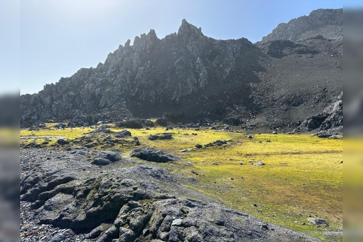 FOTO: Košický vedec na expedícii na Antarktíde, foto 14