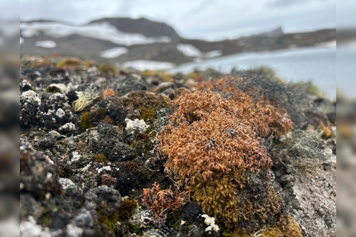 FOTO: Košický vedec na expedícii na Antarktíde, foto 20