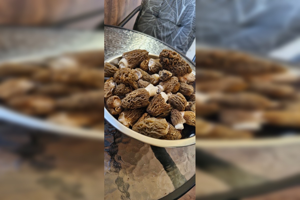 FOTO: Hubári sa podelili o svoje prvé úlovky - smrčky, foto 9