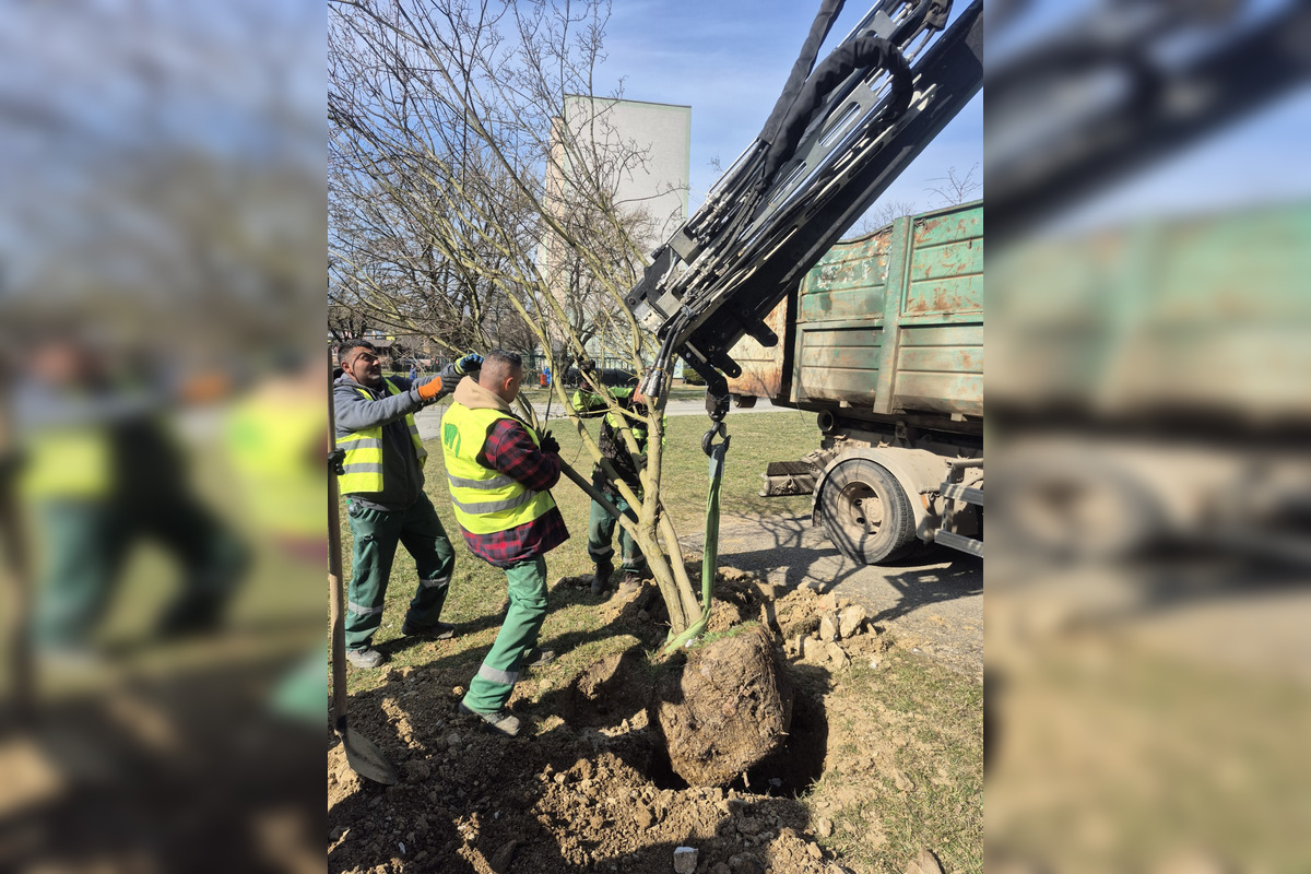 FOTO: Košice opäť kvitnú do mnohých farieb, foto 4