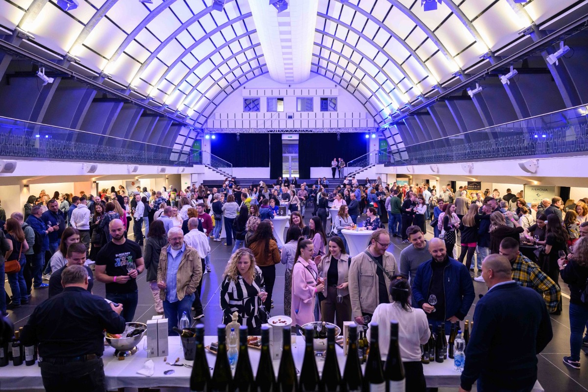 FOTO: Nevinne o víne v Košiciach, foto 1