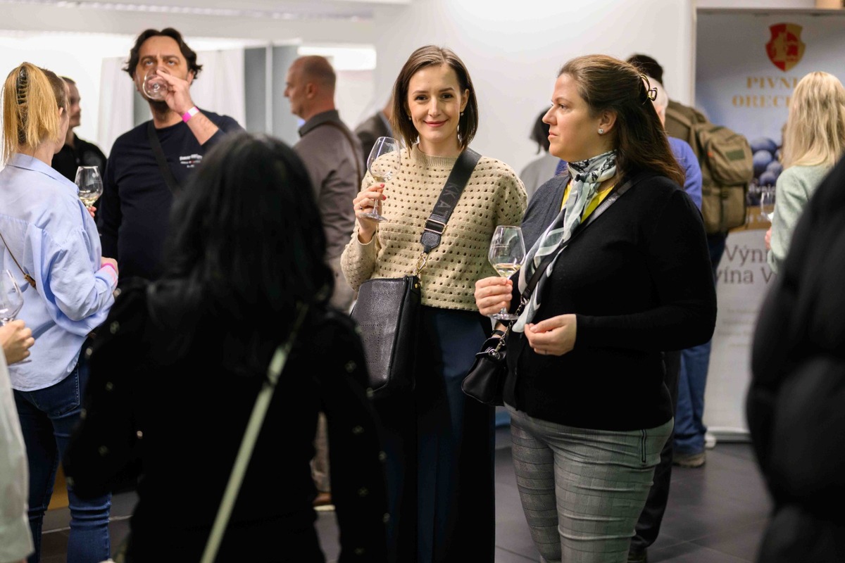 FOTO: Nevinne o víne v Košiciach, foto 16