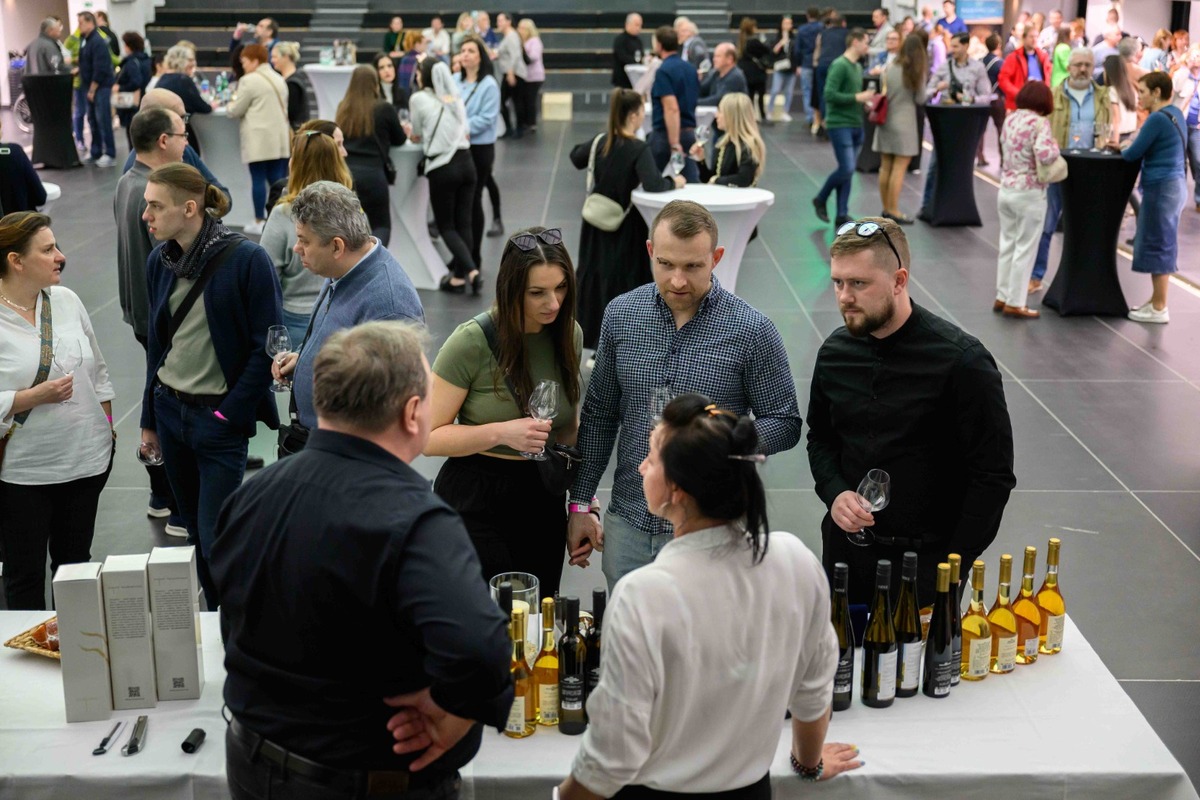 FOTO: Nevinne o víne v Košiciach, foto 25