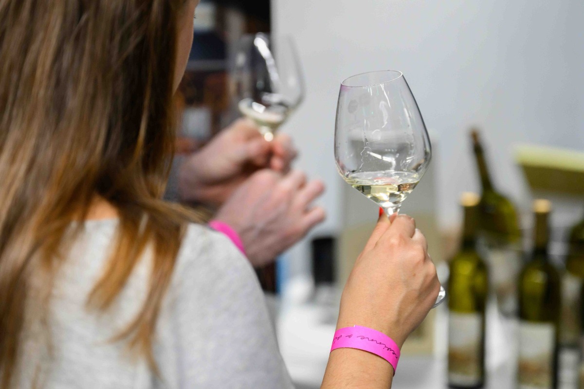 FOTO: Nevinne o víne v Košiciach, foto 27