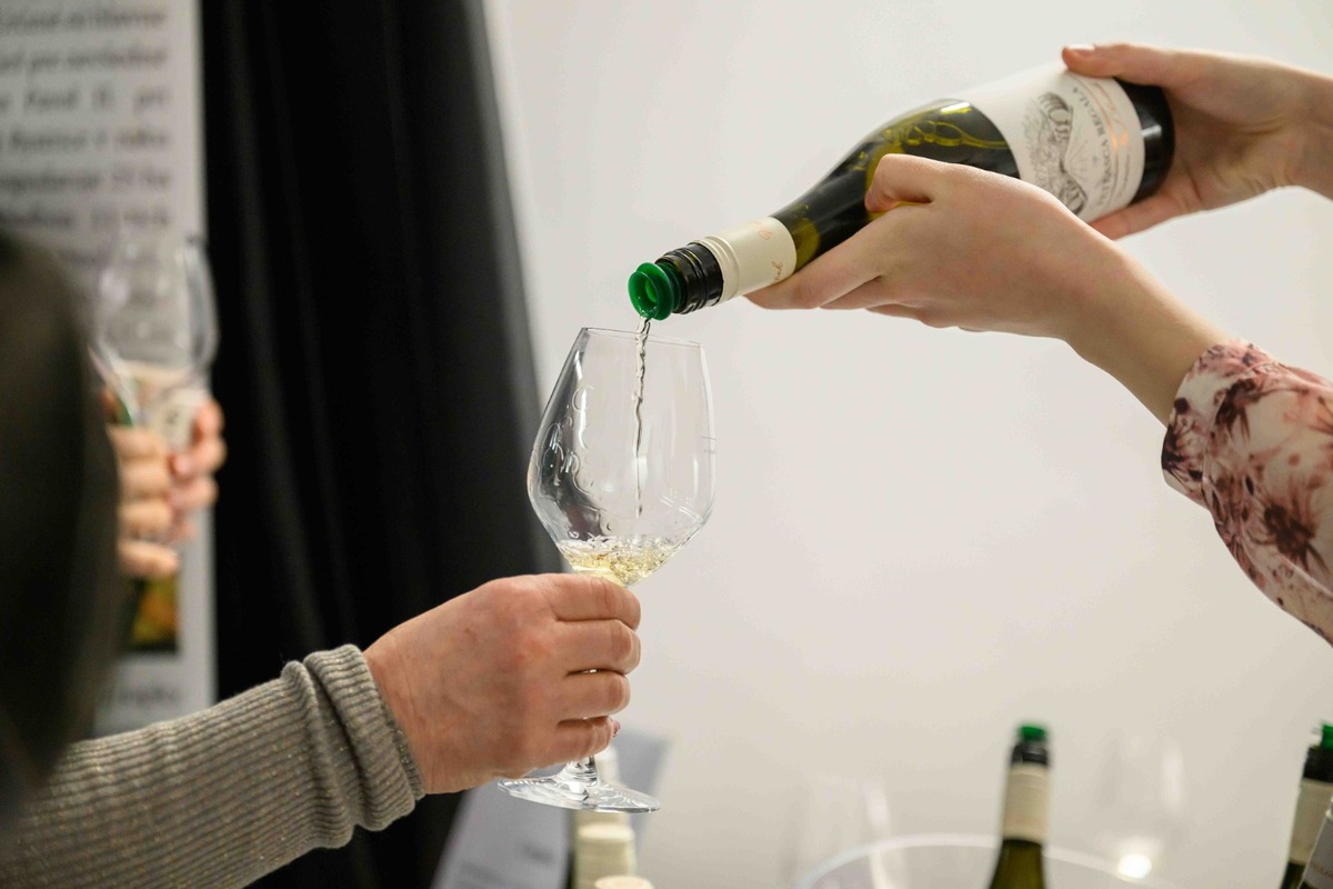 FOTO: Nevinne o víne v Košiciach, foto 39